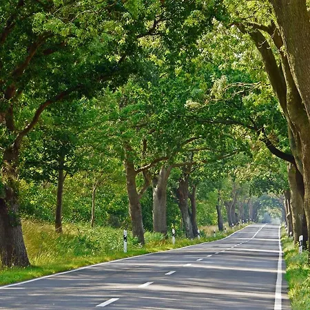 Apartment Louisa - Liegestuhl 45 Sellin (Rugen)