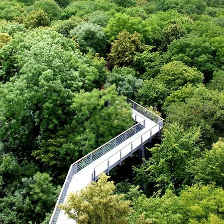 Louisa - Liegestuhl 45