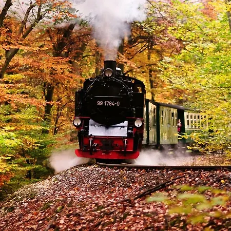 Louisa - Liegestuhl 45