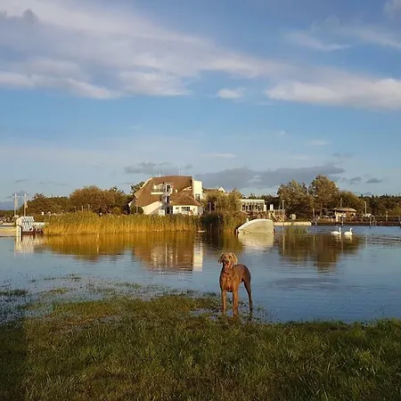 Louisa - Liegestuhl 45 Apartment