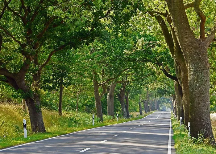 Apartmán Louisa - Liegestuhl 45 Sellin (Rugen)