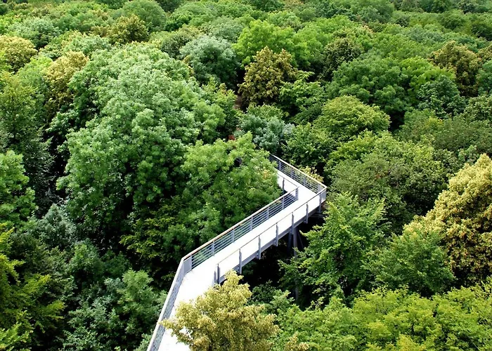 Louisa - Liegestuhl 45